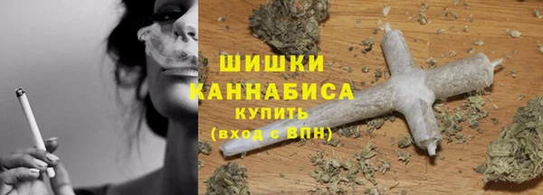 apvp Белокуриха