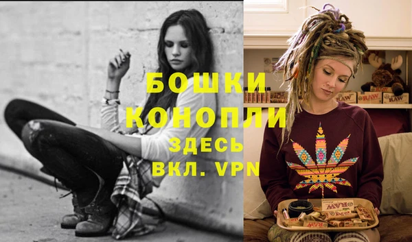 apvp Белокуриха