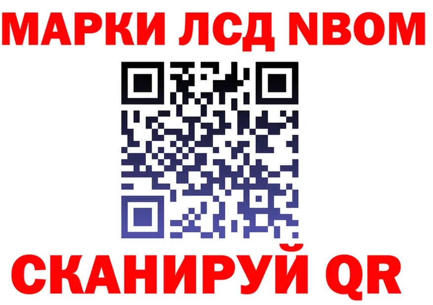 Альфа ПВП СК маркетплейс площадка блэк спрут Арзамас