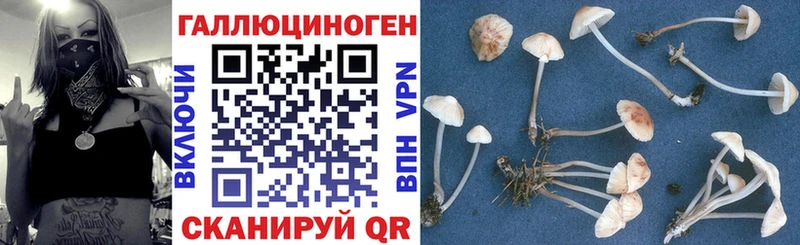 Купить закладки  Арзамас  Галлюциногенные грибы прущие грибы 